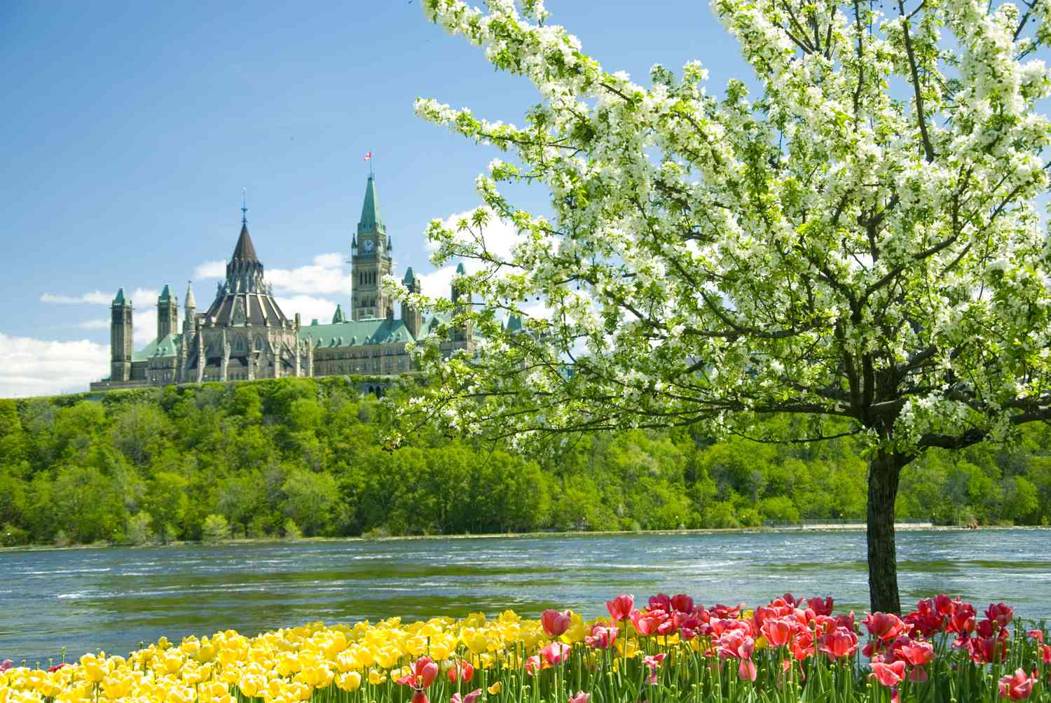 Embracing the Beauty of Canada in the Start of Spring