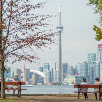 four people sits on park benches across city scape