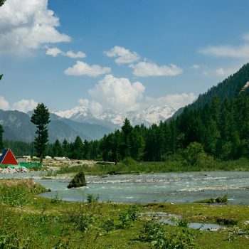 green trees near body of water under white clouds and blue sky during daytime